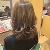 15センチカット✂︎