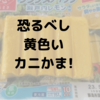 黄色がヤバい！カニかま。レモン風味のカラフルなサラダスティック