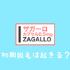 【体験談】ザガーロで初期脱毛はホント？ウソ？