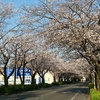 阿蘇市の乙姫で氷点下2度9分