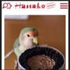 Hanakoのブログ3回目更新されました。