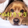 【いぬ】のチャンネルを羅列するだけの時間