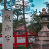 京都にある城南宮に梅の花と庭園を見に行きました。