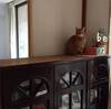 何もない平面には猫がのぼる