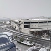 久々に雪が積もった