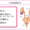 がん緩和ケア＋在宅医療医に必要ながん治療に関する知識を科学する　８９