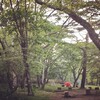 【花見ヶ原森林公園キャンプ場】赤城山の森深きキャンプ場でファミリーキャンプ