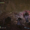 MONSTER HUNTER WORLD:Steam版：フリークエストを回す『ニャイスルーム　鉄暗編』