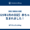 【2025年2月の日記】赤ちゃんが生まれました！