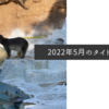 2022年5月のタイトル画像