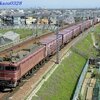 今日（６/１２）は、昔の１枚（１８４）回顧 EF81-719 です。