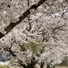 朝の支度はモーニングルーティン