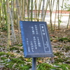 万葉歌碑を訪ねて（その８３１，８３２）―高岡市万葉歴史館（４，５）四季の庭―万葉集　巻十九　四二九一、巻十九　四二二六