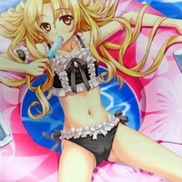 今ランサー/アルトリア・ペンドラゴン Premium Tapestry vol.2(B2