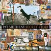 Secret Story / Pat Metheny (1992)