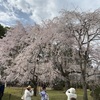 【旅行記】京都旅行　日帰り　