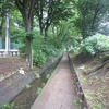 千川上水_武蔵野大学～（東京都武蔵野市・西東京市）