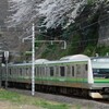 昨年春に撮影した桜と鉄道