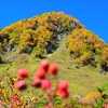 2016年9月30日～10月1日に､紅葉見頃の涸沢(上高地)に行ってきた時の写真です｡(見