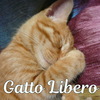 ブログ始めました。Gatto Liberoと申します。