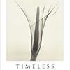 朝吹真理子「TIMELESS」非公式サウンドトラック