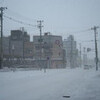 朝から吹雪