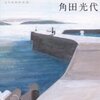 八日目の蝉 / 角田光代