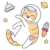 意識と現実世界✨