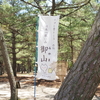白鳥神社の直書き御朱印の魅力と「日本一低い山」を徹底紹介