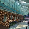 （インド旅行´25）去年、一昨年に続き今年最初の旅ブログもインドで決まり＼(⌒ ͜ ⌒)／
