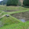 田植え準備