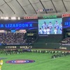 楽しいだけの観戦