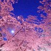 夜桜☆