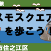 大阪の旅、咲州・コスモスクエアを歩こう！