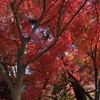 12月のとある週末。無駄に天気が良いなぁ。何をしよう？