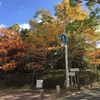 六甲全山縦走路② 妙法寺駅〜高取山〜鵯越駅