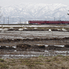 【2013/04/16】Swan rice field（白鳥の田んぼ）