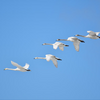『渡り鳥いつまた帰る』——小林旭の“ギターを持った流れ者”像が確立した時期の代表作