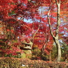 松雲山荘と木喰