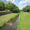 野川公園周辺散歩_2（東京都三鷹市）