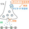 じじぃの「未解決ファイル_285_痛み・イオンチャネル」