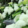 梅雨はお好きですか？〜梅雨に起こる体調不良…なぜ？？〜