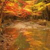 小國神社で紅葉狩り他