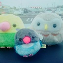 Ryu's Blog