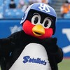 つば九郎、体調不良で活動休止｜4月中旬まで全イベント中止に【最新情報】
