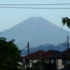 7月23日の太陽面