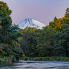 柿田川からの富士