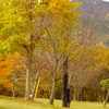 Tues.   仁別紅葉園