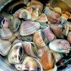 【おうちで美味しい】はまぐりカレー / 2025　ブルーベリー