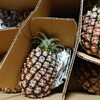 宅急便でピーチパインが届く🍍